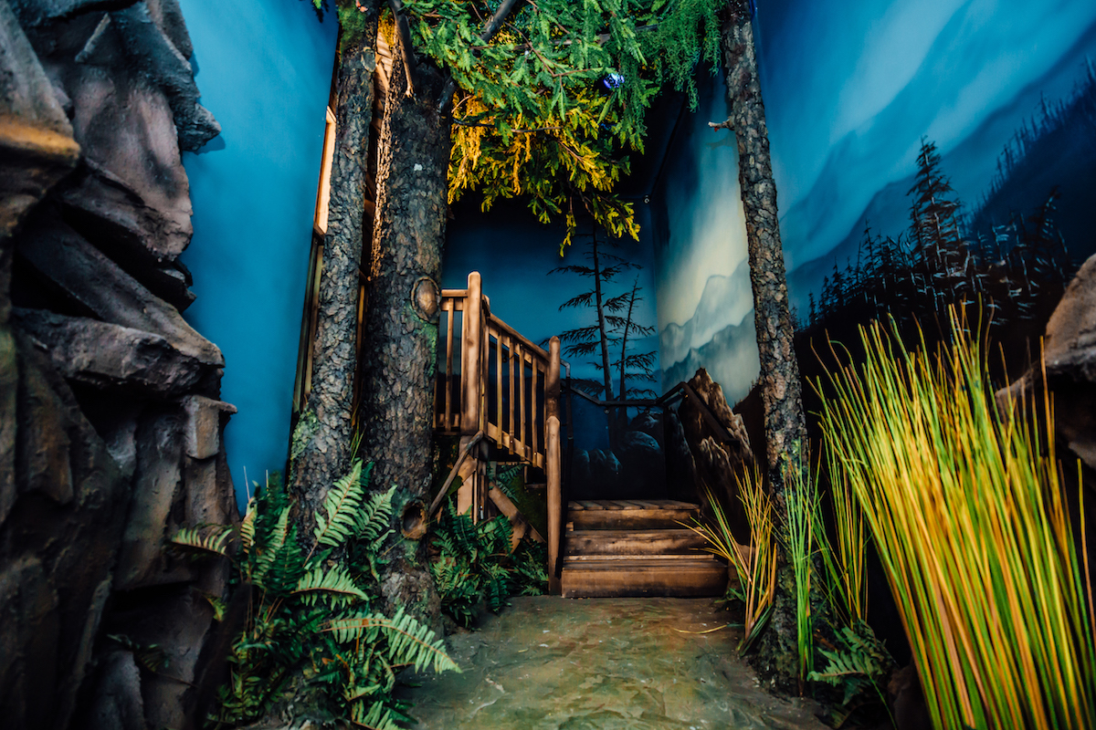 The Forest our Gold Rush experience