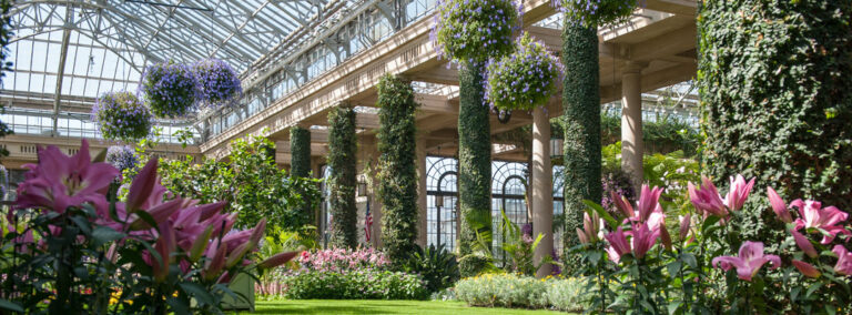 Things to Do King of Prussia - The Escape Game